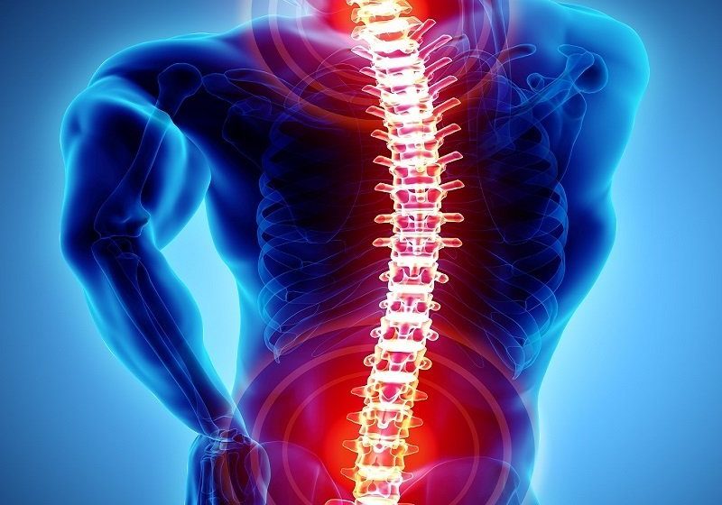 Physiotherapy Services